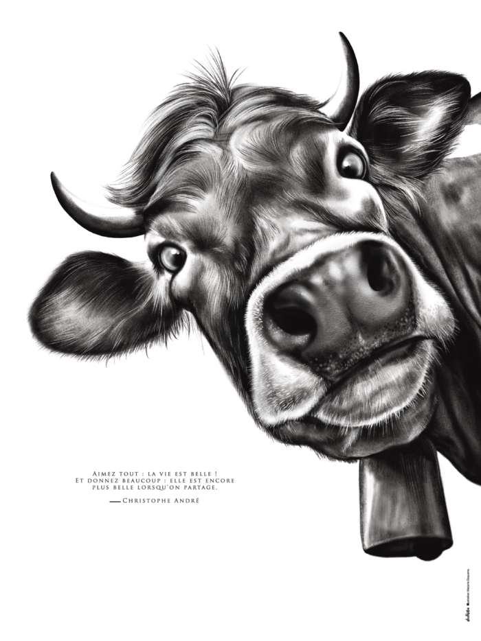 affiche vache - dessin vache - Marjorie Esquerre