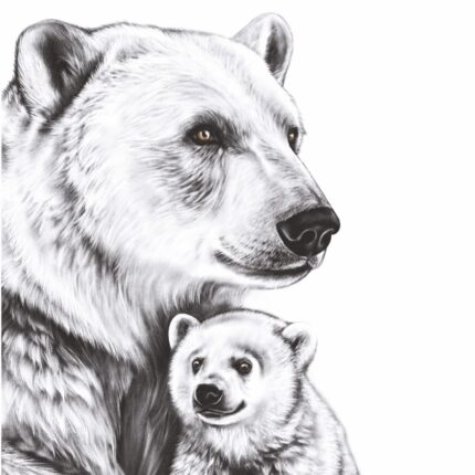 affiche les ours polaires - citation d'antoine de Saint-Exupéry - dessin de Marjorie Esquerre
