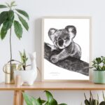 Affiche Koala - Dessin de Koala - affiche 30 X 40 cm