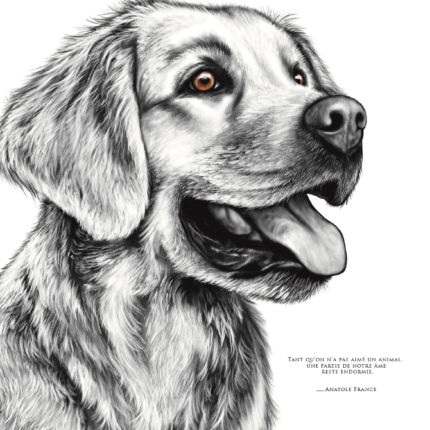 Affiche Golden Retriever - dessin portant la citation d'Anatole France : "Tant qu'on n'a pas aimé un animal, une partie de notre âme reste endormie "