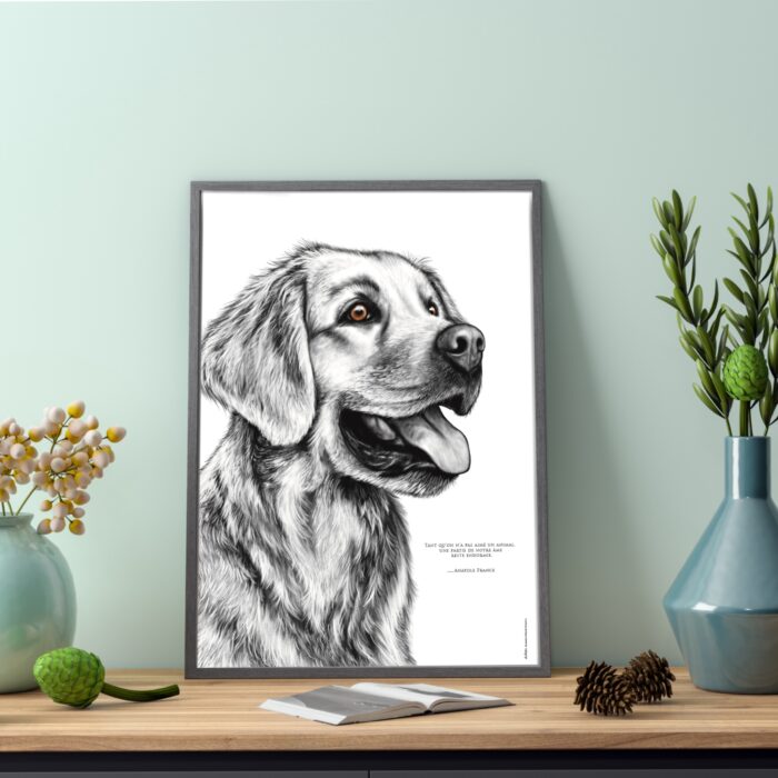 Affiche Golden Retriever - dessin portant la citation d'Anatole France : "Tant qu'on n'a pas aimé un animal, une partie de notre âme reste endormie "