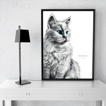 Affiche chat blanc - dessin portant la citation Voltaire: "La beauté plaît aux yeux la douceur charme l'âme". affiche 30 X 40 cm - 19€ - Dessin M.Esquerre