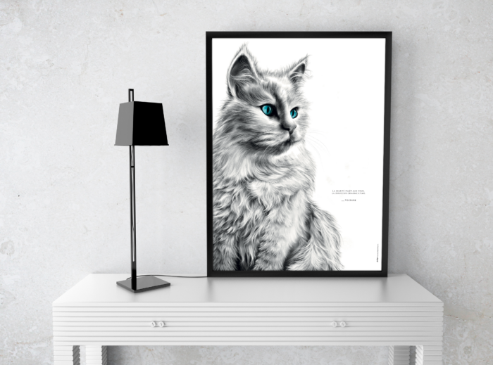 Affiche chat blanc - dessin portant la citation Voltaire: "La beauté plaît aux yeux la douceur charme l'âme". affiche 30 X 40 cm - 19€ - Dessin M.Esquerre