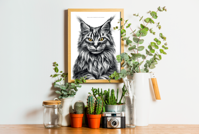 Affiche chat Main Coon - dessin portant la citation "Tous les rois ne portent pas de couronne". affiche 30 X 40 cm - 19€ - Dessin Marjorie Esquerre