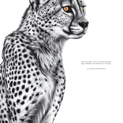 Affiche Guépard - dessin d'un Guépard portant la citation : "L'intuition, c'est l'intelligence qui commet un excès de vitesse" (Bernstein)