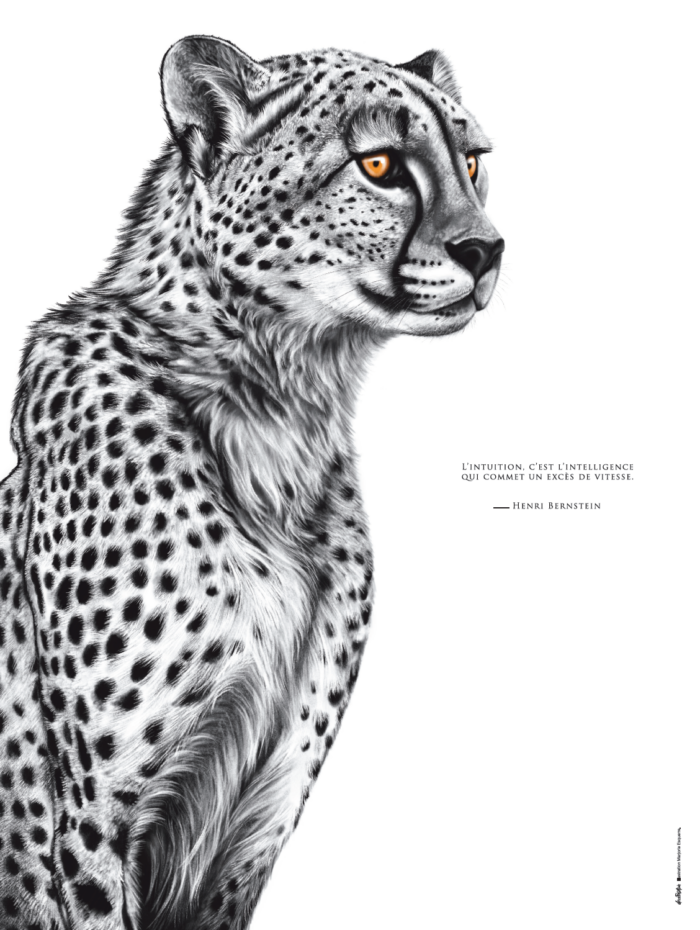 Affiche Guépard - dessin d'un Guépard portant la citation : "L'intuition, c'est l'intelligence qui commet un excès de vitesse" (Bernstein)