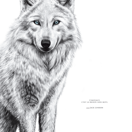 L'Affiche Le Loup Blanc illustre une citation de Jack London sur l'instinct : "L'instinct, c'est la raison sans mots". Disponible en affiche 30X40 cm.